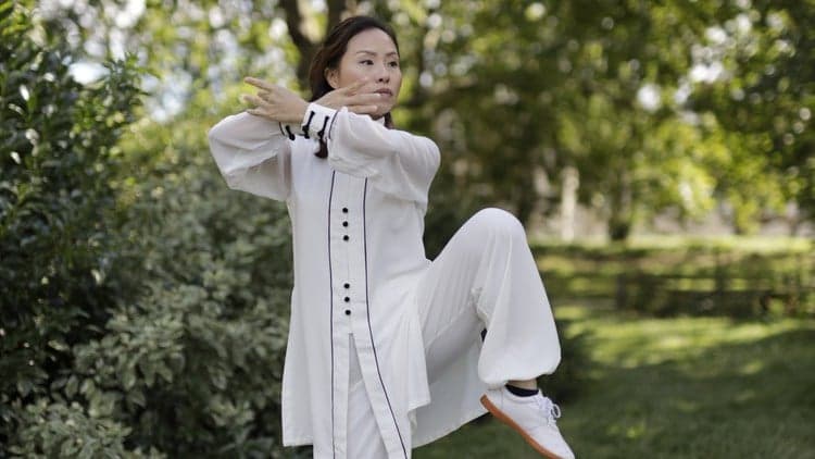Tai Chi Qigong Shibashi Set 2 (Tutorial and follow along)