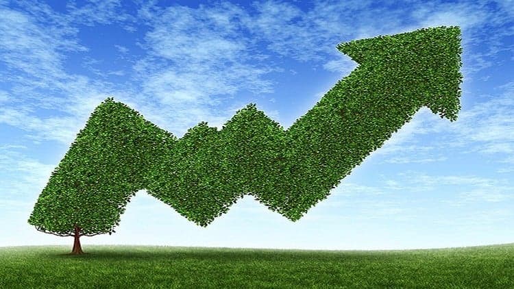Fundamentals of Intelligent Sustainable Business