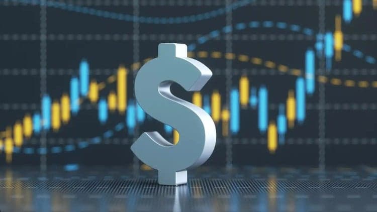 Investing for Beginners: Building Wealth 101
