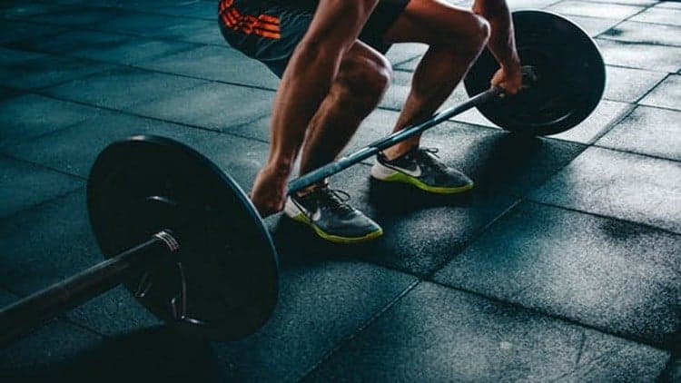 Fundamentals Of Weight Training & Bodybuilding: Gym Workouts