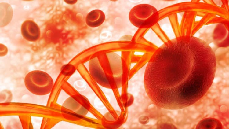 Sickle Cell Disease CRASH COURSE + Practice Quizzes