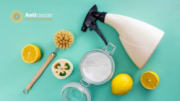 Create a Healthy, Nontoxic Home