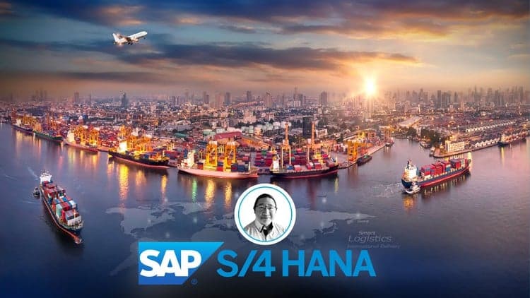 Learn SAP S/4 HANA Transportation Management, Step by Step