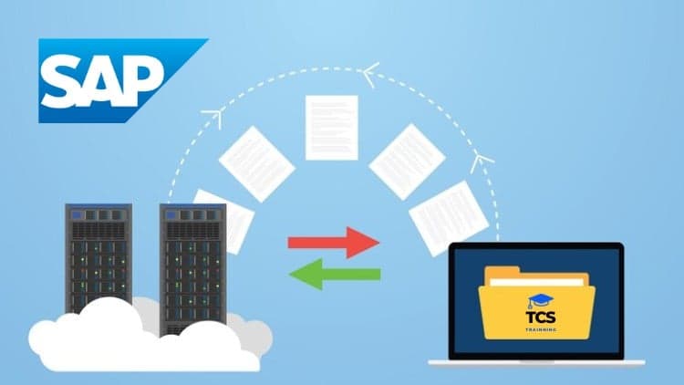 SAP Transações Massivas (edição de grande volume de dados)