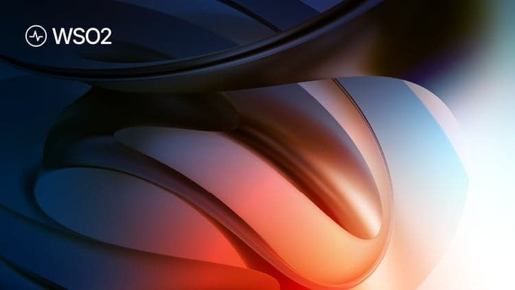 API Management Concepts for WSO2 API Manager