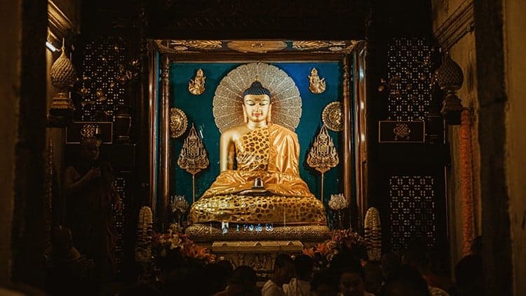 Cultivating Compassion: A Complete Buddhist Course