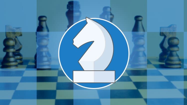 Chess For Everyone!