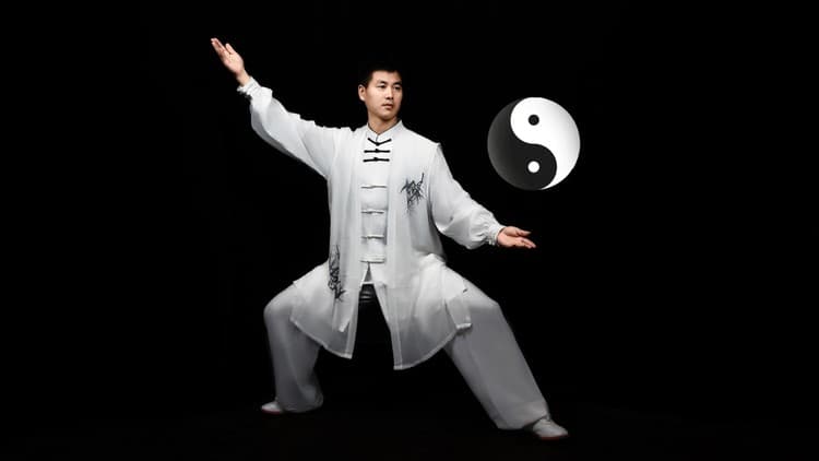 Tai Chi Basics: KungFu, Qigong, and Mind-Body Transformation