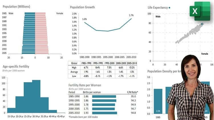 Excel with Interactive Excel Dashboards