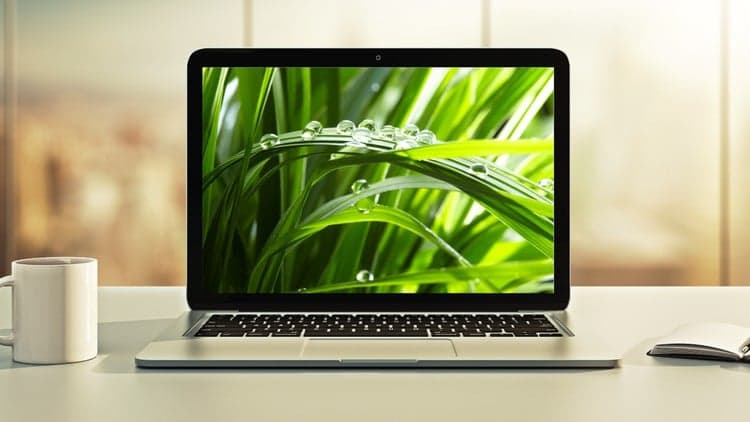 Spring Boot 4, Spring 7 & Hibernate for Beginners