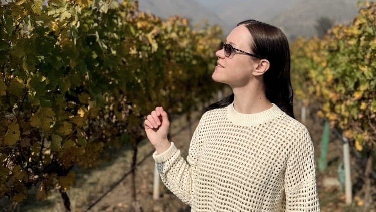 Wine Selection: How to Choose Like a Pro