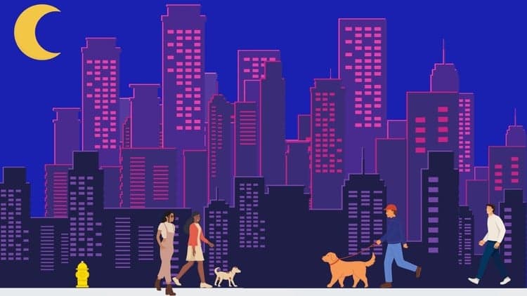City Dog: An Insider's Guide for New Urban Dog Parents