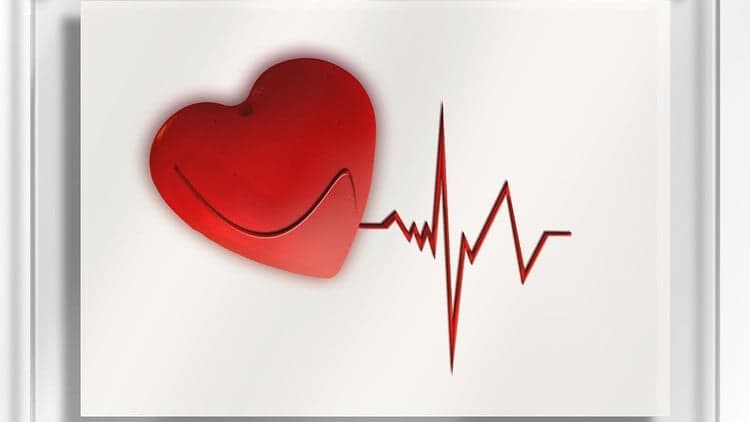 HEARThrive - Revamp and Relaunch Your Health