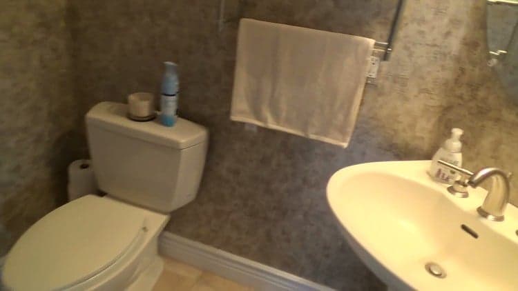 Toilet & Sink Faucet Repairs Made Easy/FREE Video Course!!