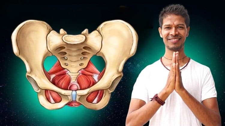Pelvic Floor Yoga: Boost Vitality, ED & Sexual Wellness