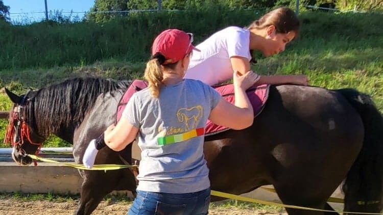 Equine Assisted Physiotherapy: Movement and Neuroplasticity