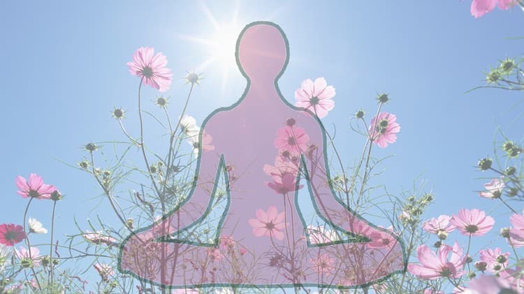 Summary of Traditional Antar (Inner) Yoga Practices