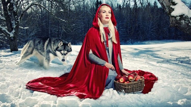 Fairy Tales: A Quick and Unique Guide to Successful Reading