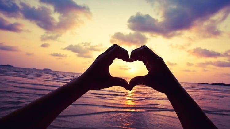 Live Your Dream