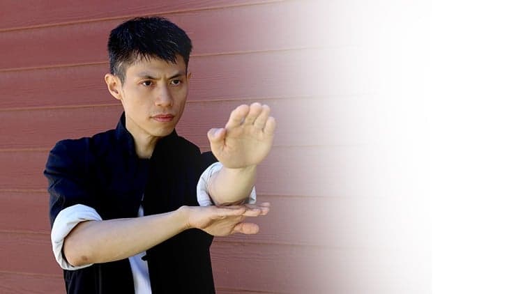 Wing Chun Biu Jee for Beginners 3 - Martial Arts Kung Fu