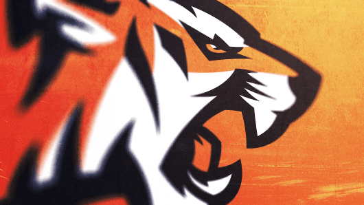 How To Design Sports Logos: Create Your Own Team Mascot