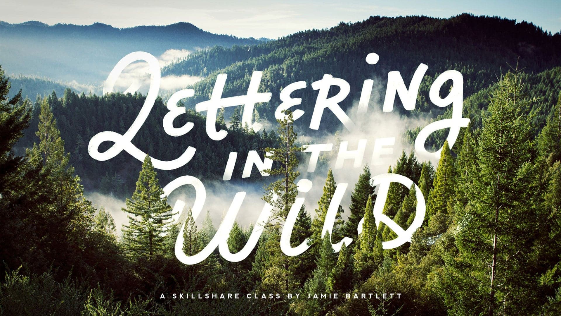 Lettering in the Wild