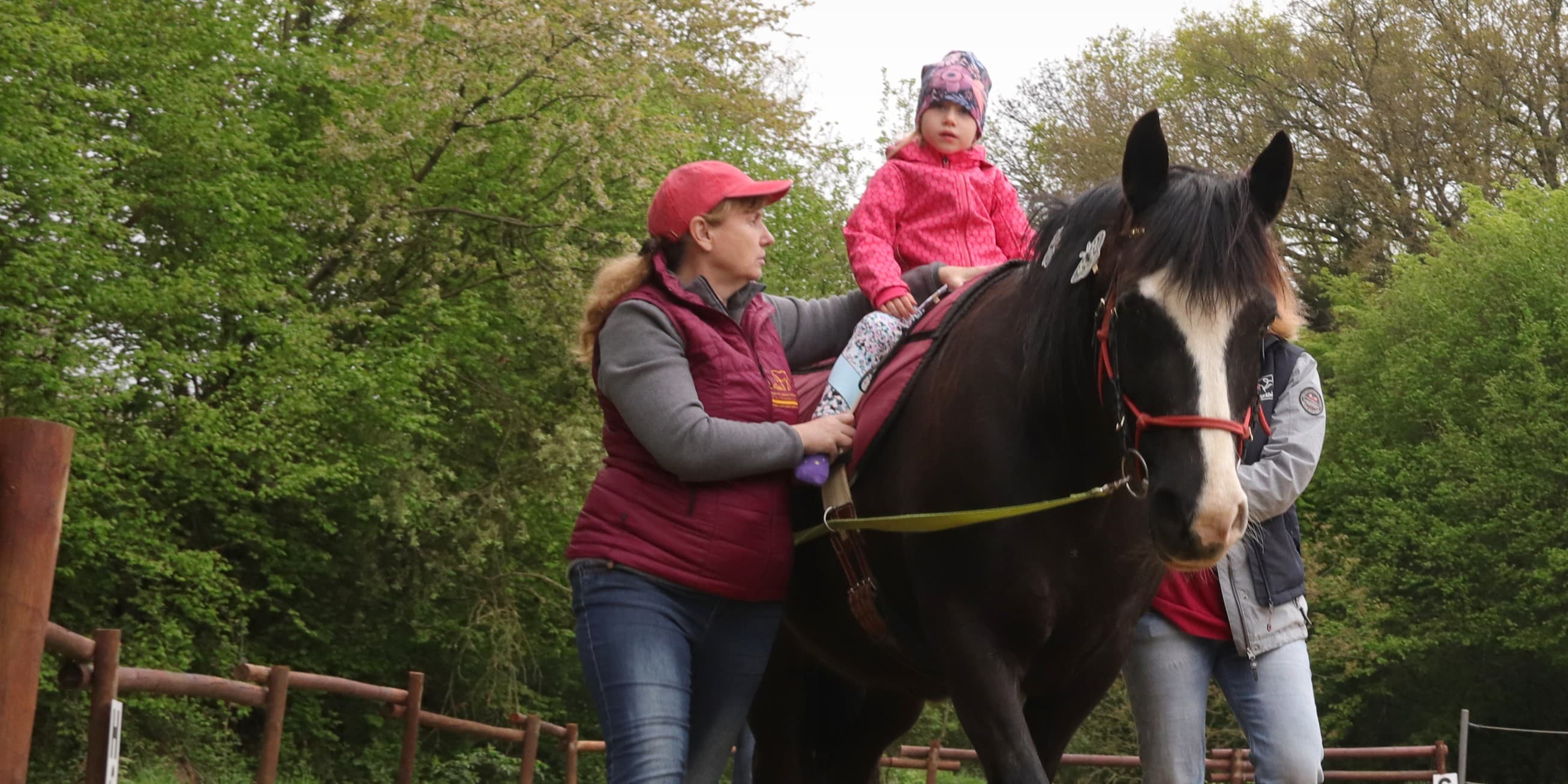 Discover the Benefits of Equine Assisted Services