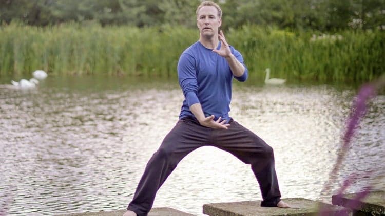 Qi Gong for Depression & Emotional Balance w Lee Holden