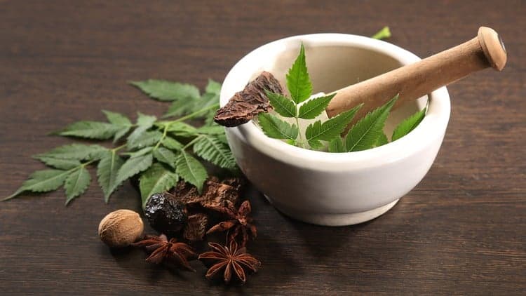 Advanced Certification in Ayurveda: Master Core Principles