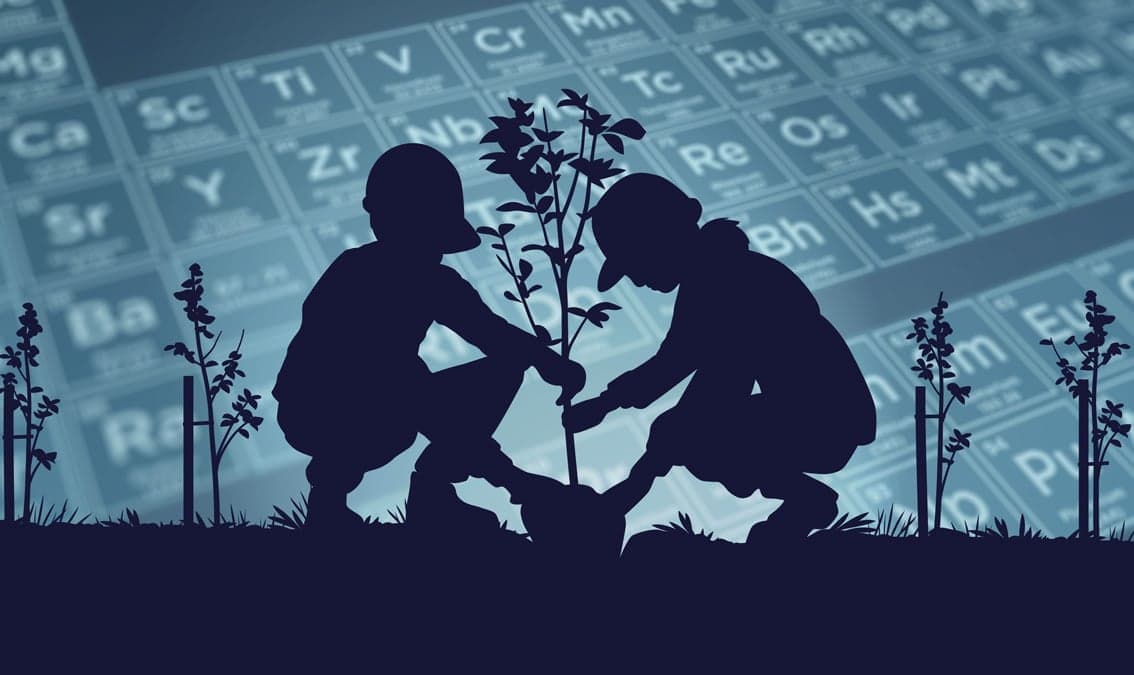 Minerals and Mining in a Sustainable World