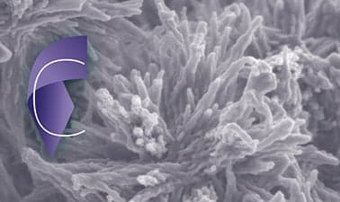 Cement Chemistry and Sustainable Cementitious Materials