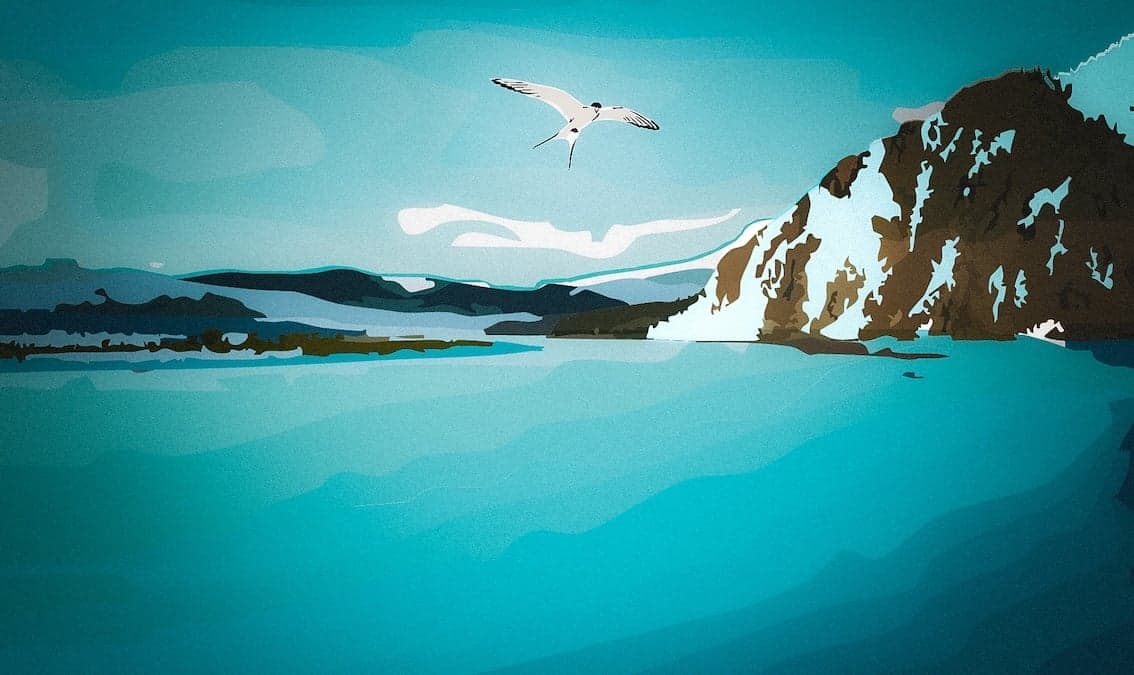 Navigating Actionable Science in the Arctic