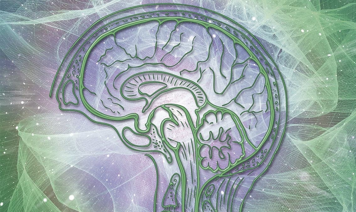 Introduction to Cognitive Psychology and Neuropsychology