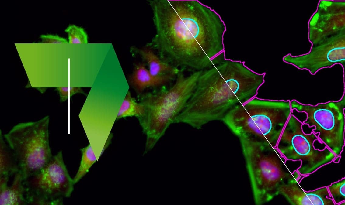 Image Processing and Analysis for Life Scientists