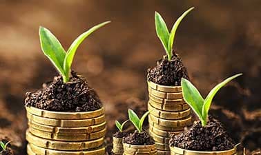 Economics and Policies for a Circular Bio-Economy