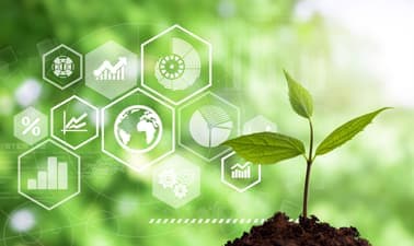 Education for Sustainable Development and Peace