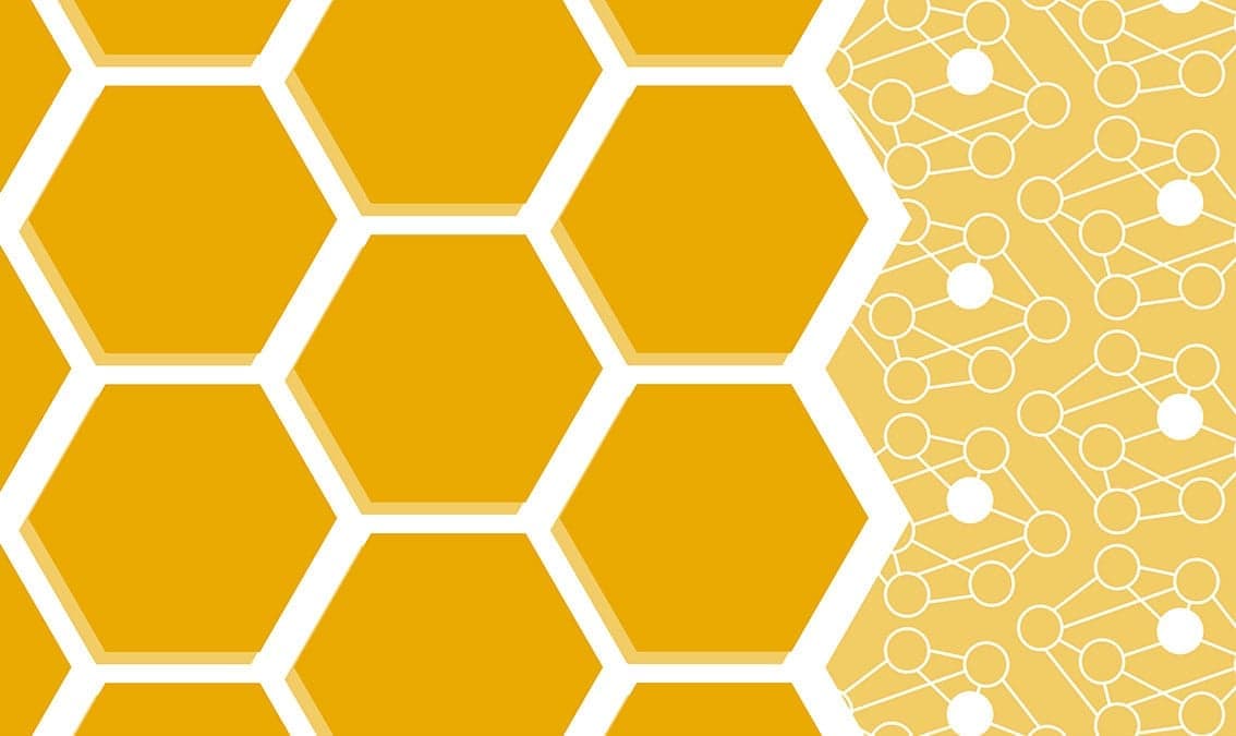 Data Structures and Algorithms