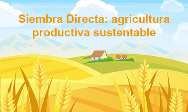 Siembra Directa: agricultura productiva sustentable