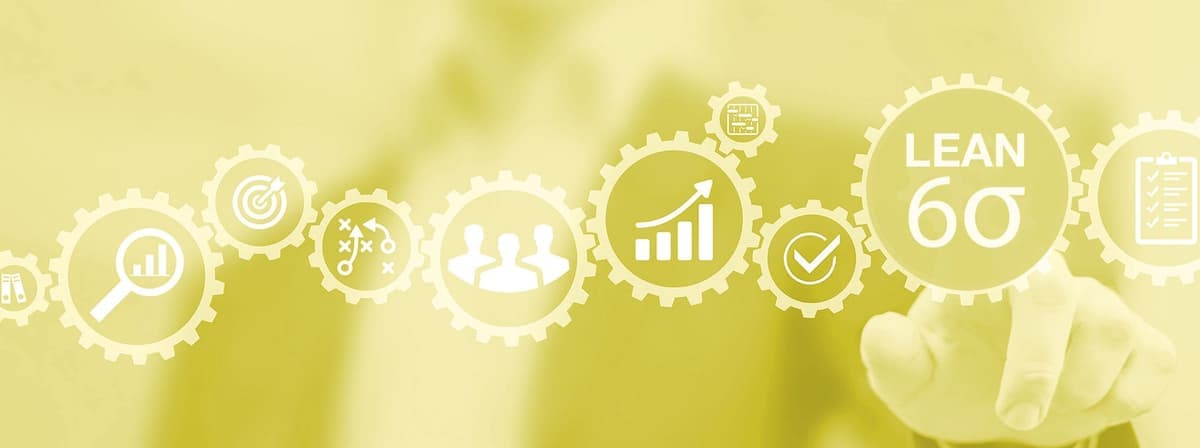 Lean Six Sigma Yellow Belt: Quantitative Tools for Quality and Productivity