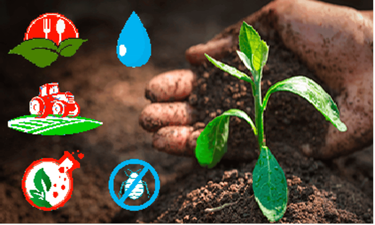 Agricultura de bajo impacto ambiental