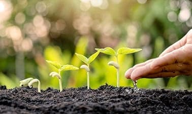 Crop Production and Soil Management