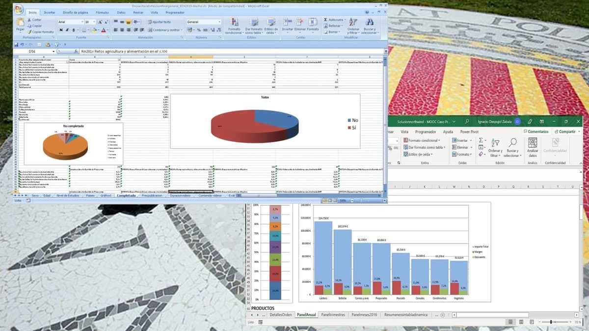 Excel para los negocios nivel intermedio