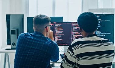 Software Developer