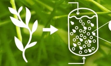 Industrial Biotechnology and Industrial Fermentation