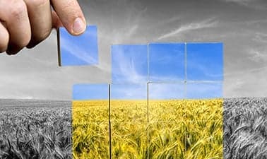 Food Security and Sustainability