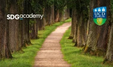Master’s Pathway in Foundations of Sustainable Development