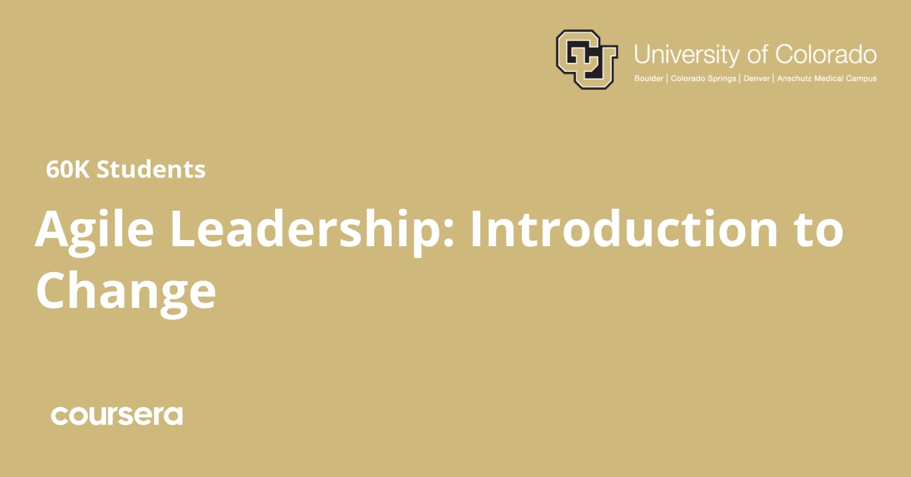 Agile Leadership: Introduction to Change