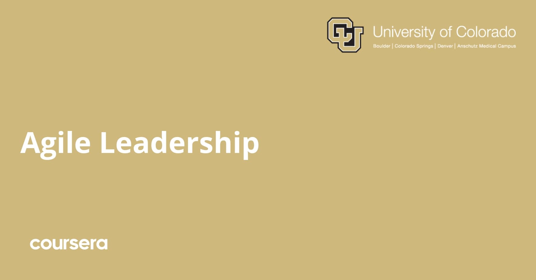 Agile Leadership