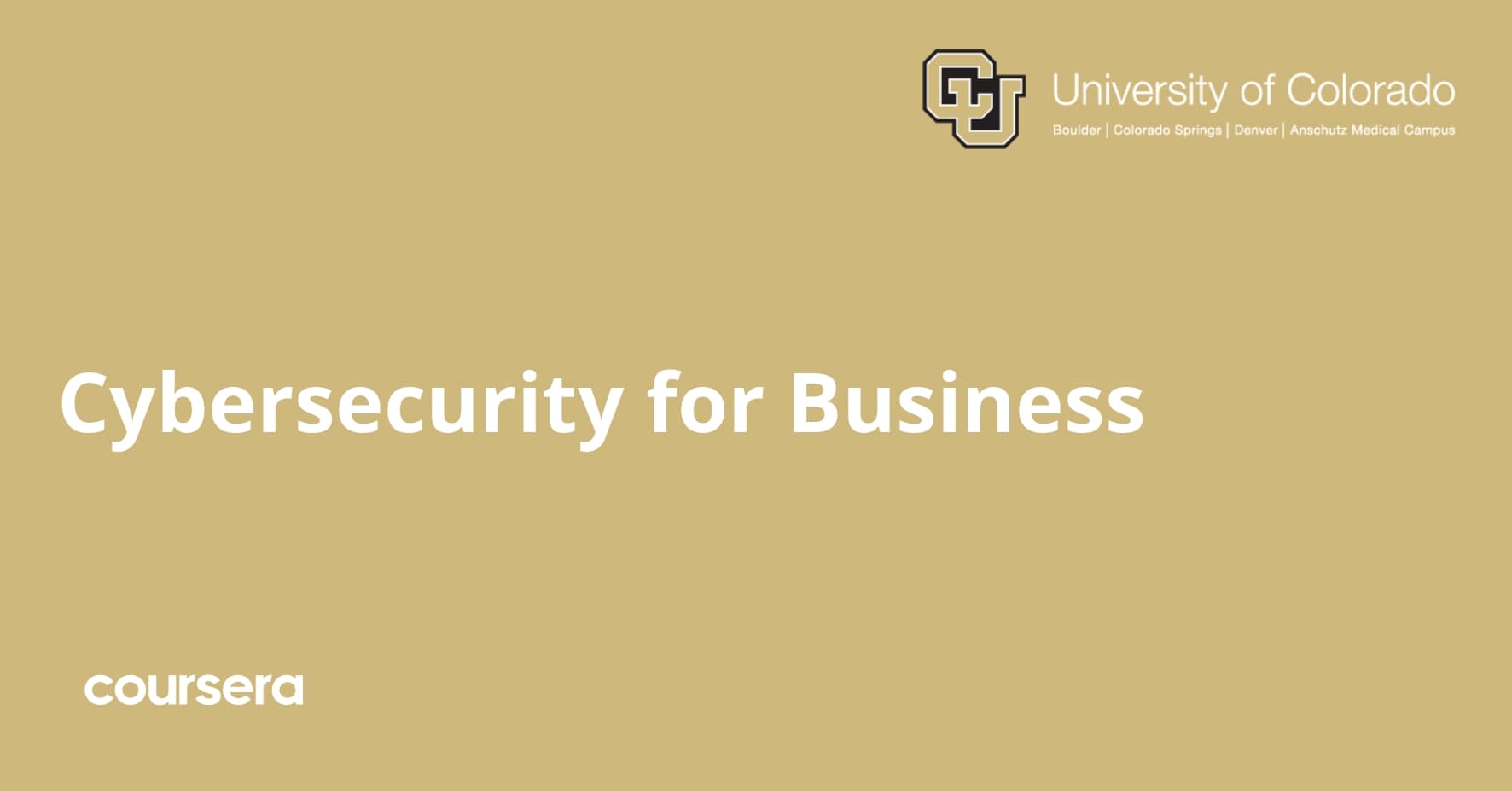 Cybersecurity for Business