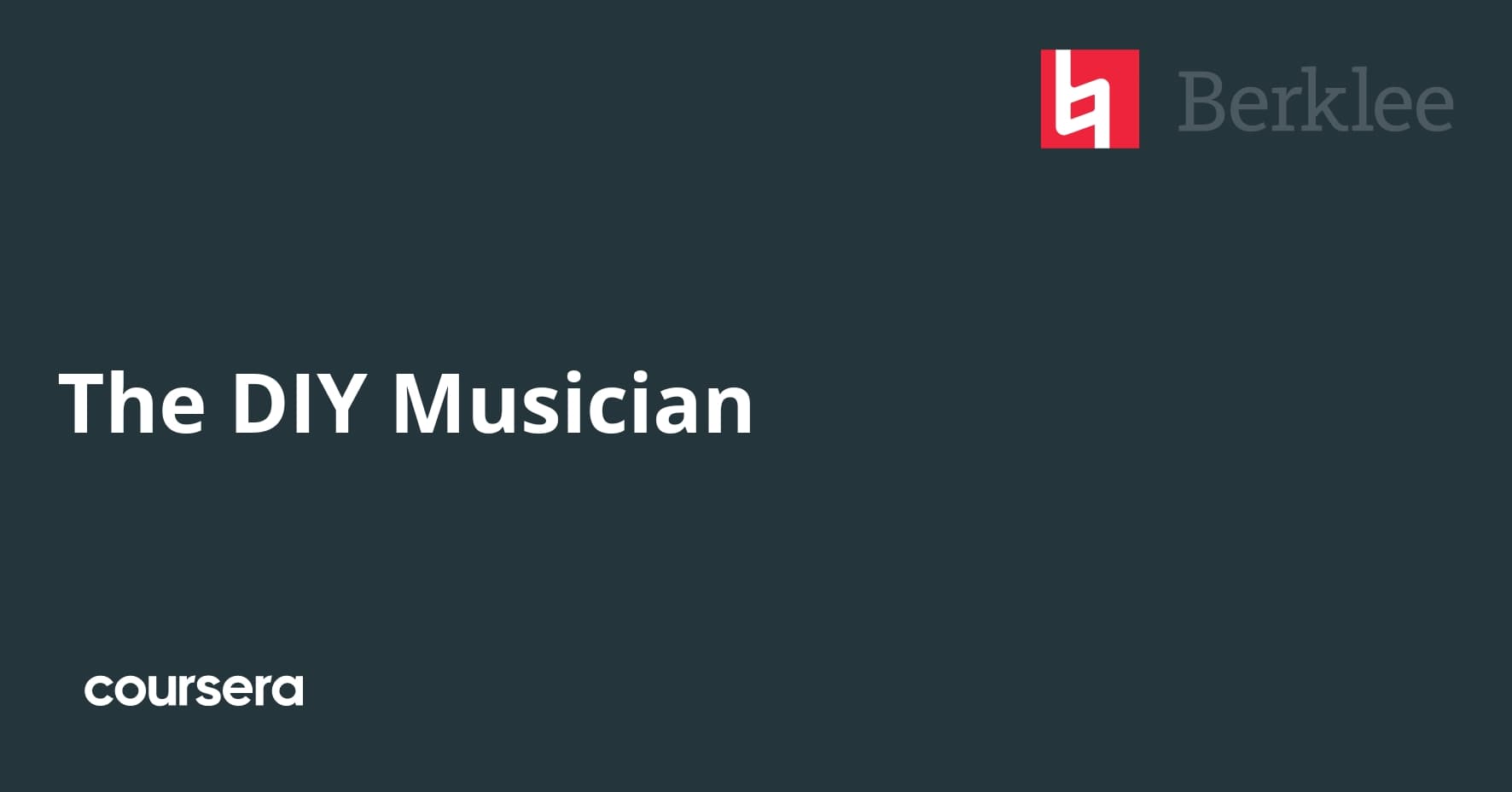 The DIY Musician